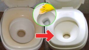 Come rendere di nuovo bianca la tavoletta del wc ingiallita: pochi passaggi per un risultato garantito