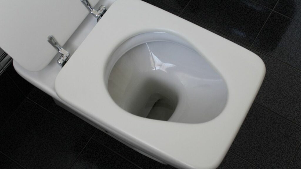 toilette pulita