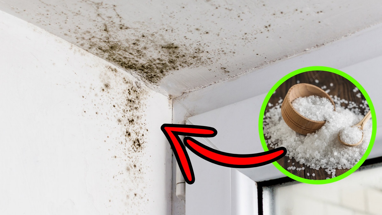 Come realizzare un assorbi umidità fai da te per asciugare i muri