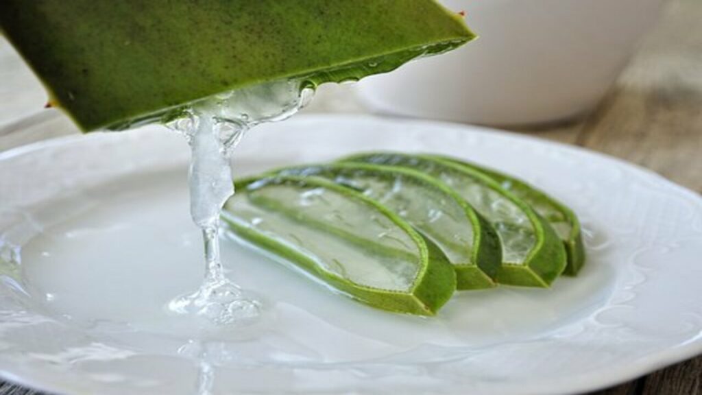 foglie aloe vera tagliate