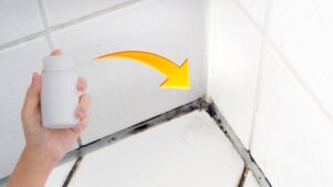 Come rimuovere la muffa dal silicone della doccia senza usare la candeggina: il TRUCCHETTO