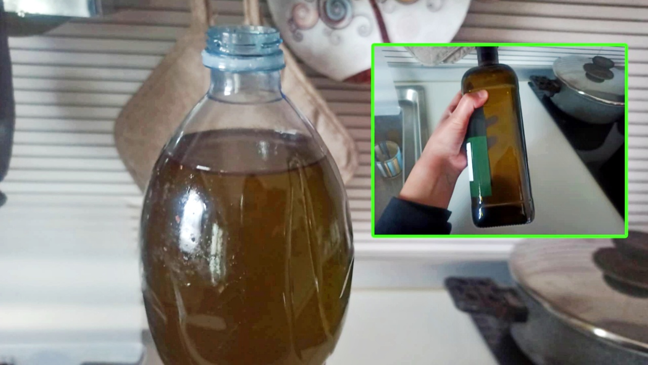 Conservare olio d'oliva