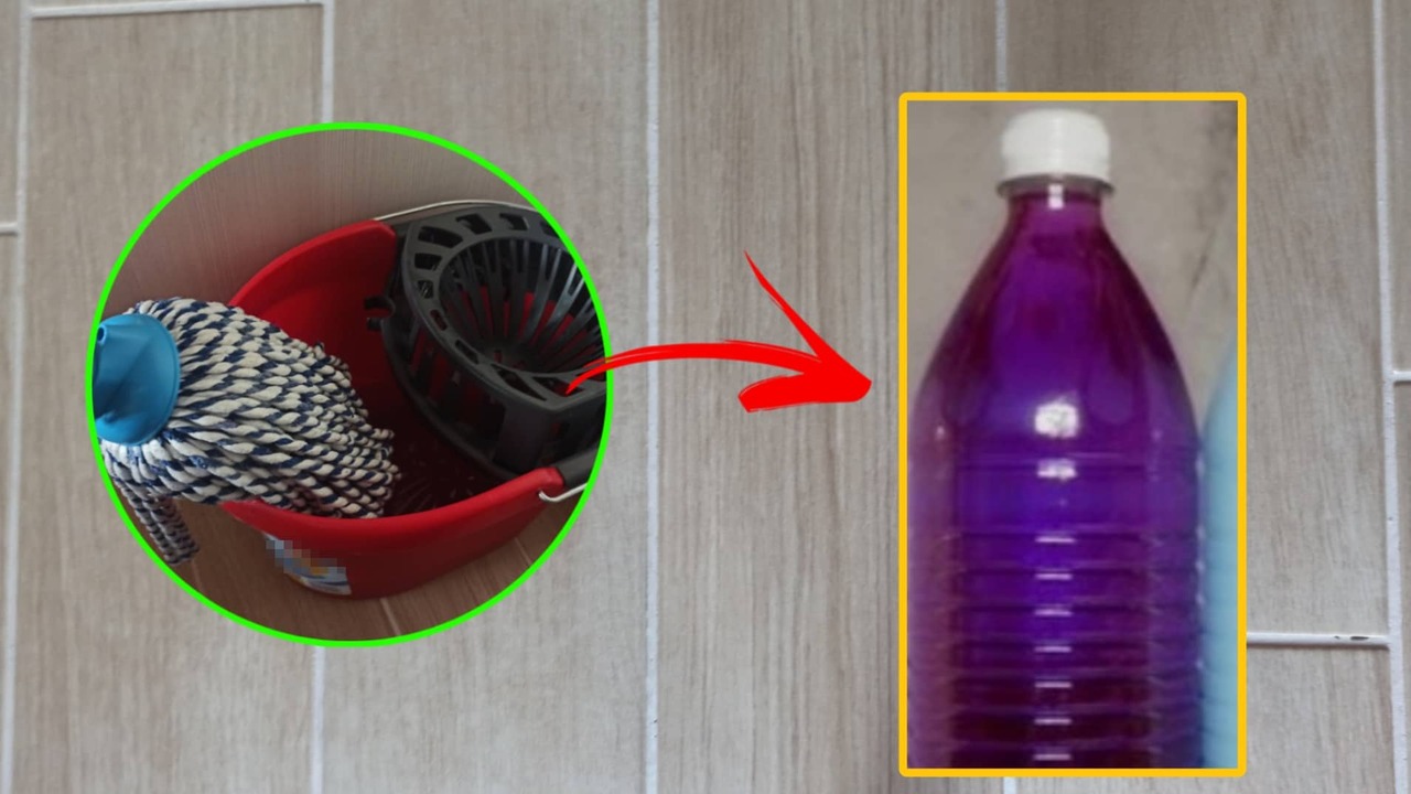 bottiglia detergente secchio