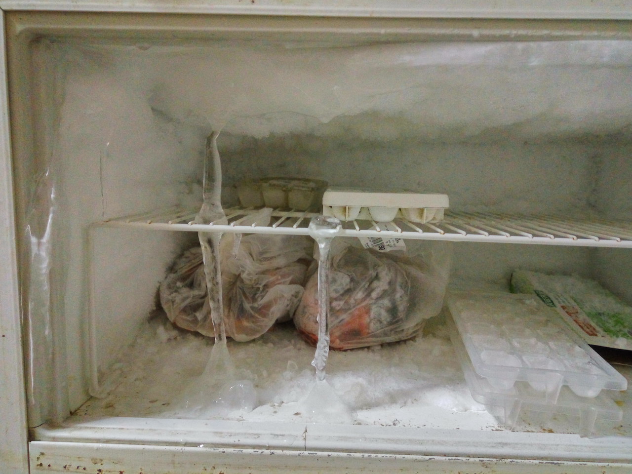 Freezer congelato
