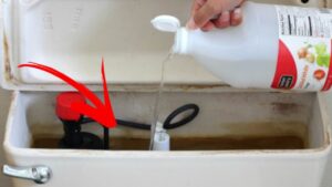 Un metodo per pulire velocemente è quello di mettere l’aceto bianco nel water: perché e a cosa serve