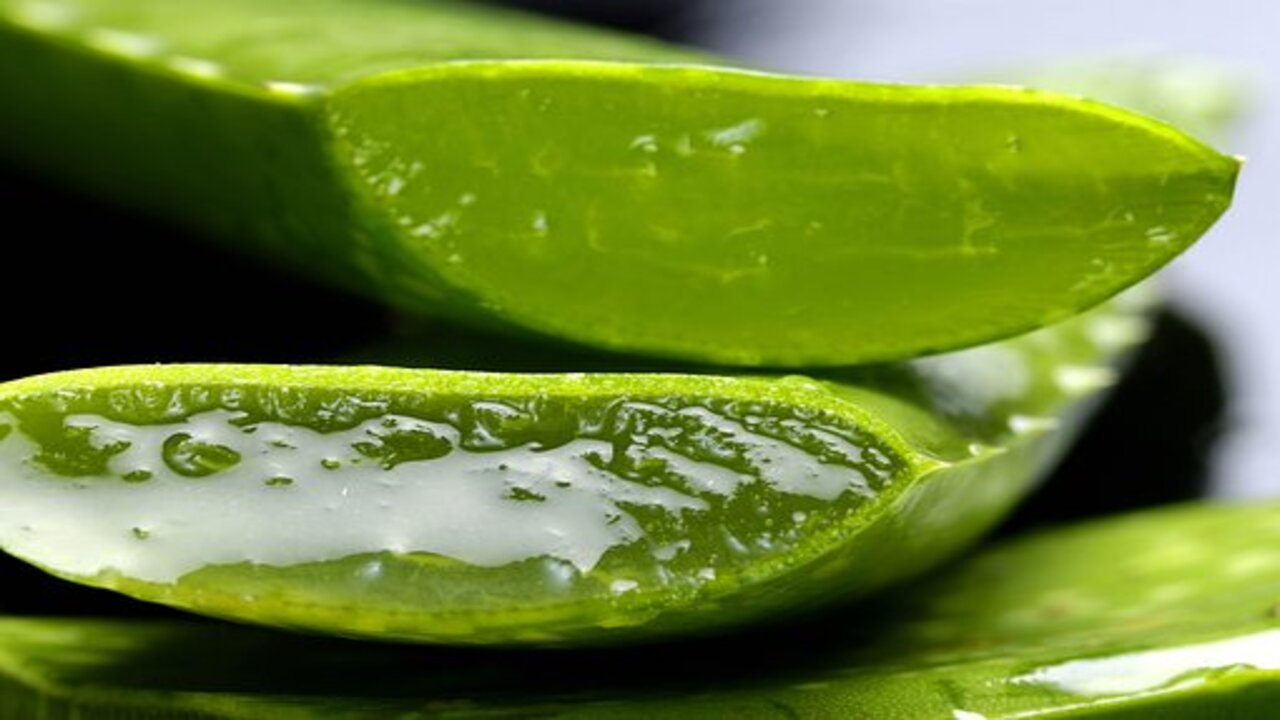 gel di aloe