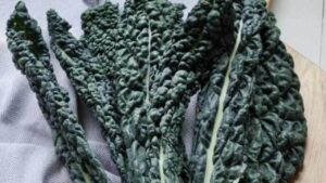 Scopriamo il cavolo nero: uno degli ortaggi più nutrienti del pianeta