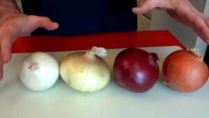 Le cipolle non sono tutte uguali! Ecco qual è il modo giusto per cucinarne ogni tipologia