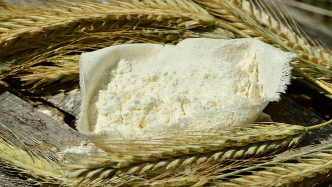 farina di grano