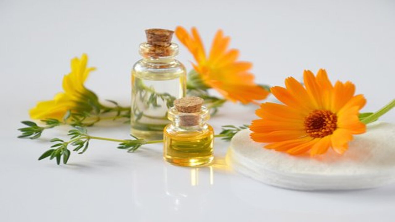 essential oil of daisy