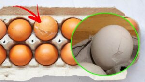 Uova rotte dopo l’acquisto: come comportarsi