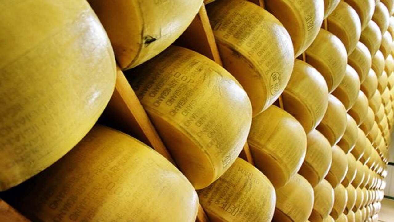 forme di parmigiano