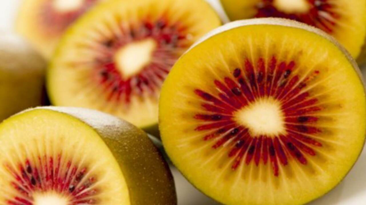 kiwi rosso