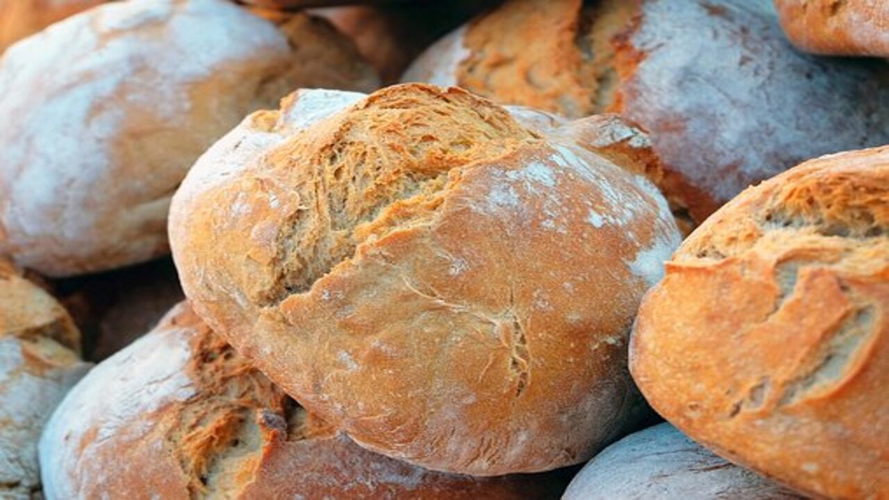 pagnotte di pane
