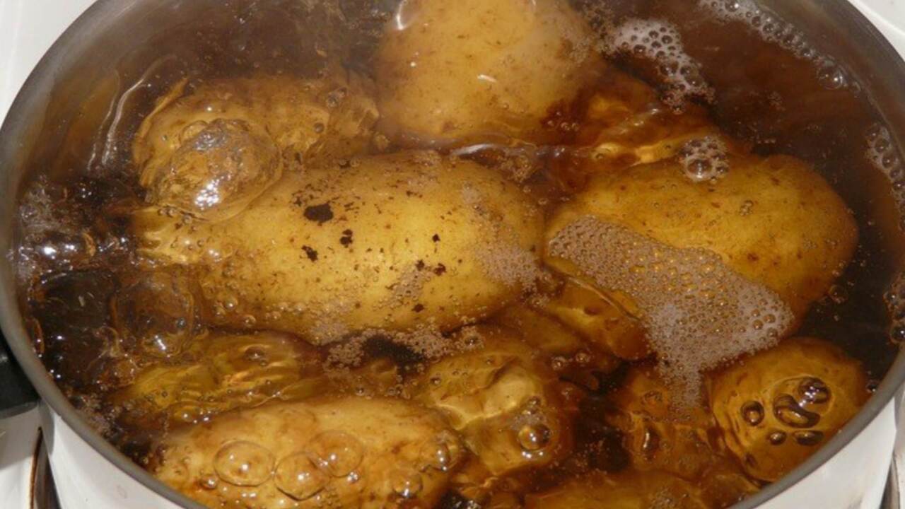 pentola con patate