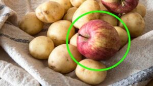 Le tue patate sono di nuovo germogliate? Prova questo TRUCCO e non te ne pentirai