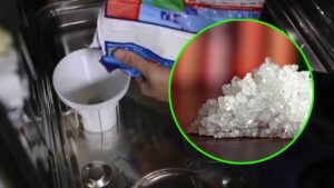 L’uso alternativo del sale per lavastoviglie che non avresti mai immaginato