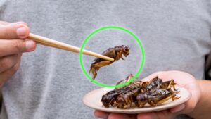 6 cibi comuni in cui sono presenti insetti, attenzione li mangi tutti i giorni!