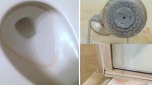 8 metodi per rimuovere facilmente la muffa dal bagno