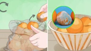 Trucchetto per conservare le clementine più a lungo