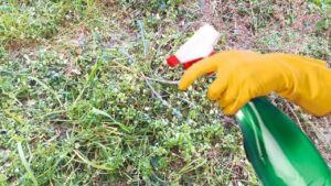 2 trucchi efficaci per eliminare le erbacce