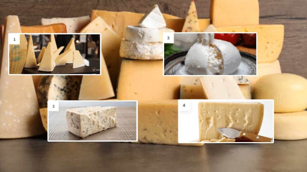 Sono italiani i 4 formaggi migliori al mondo