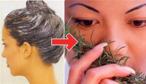 Maschera al rosmarino: l’alternativa naturale alle tinte per capelli