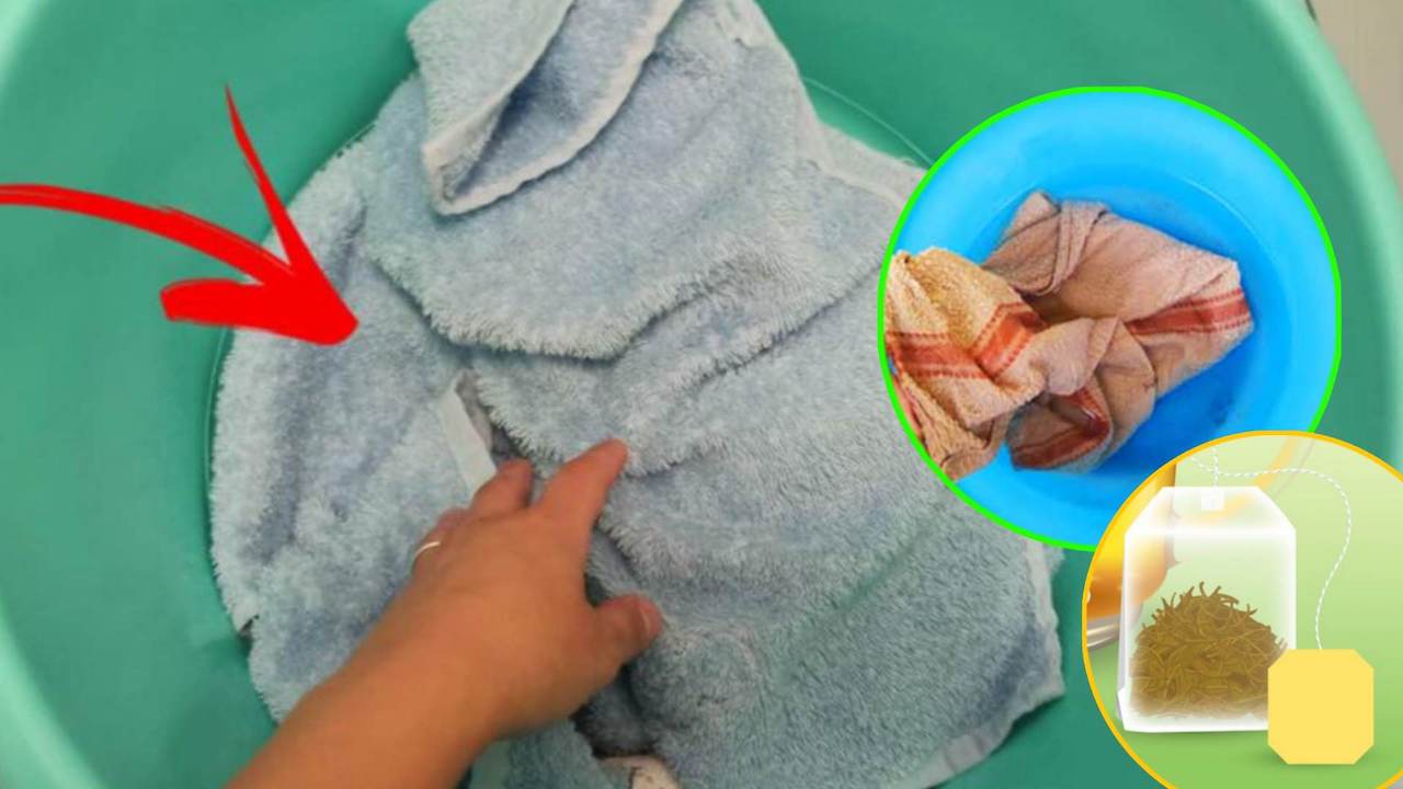 Camomilla per recuperare asciugamani duri e ruvidi