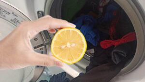 Fetta di limone in lavatrice