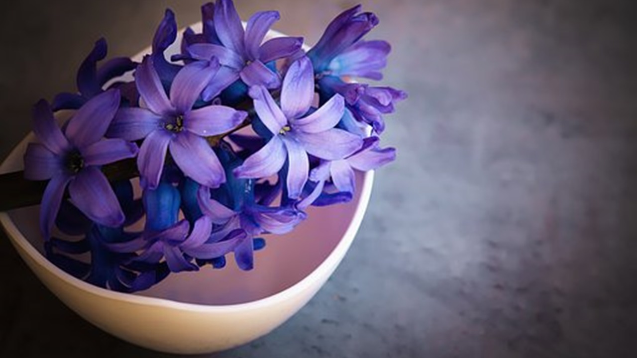 vaso con fiori