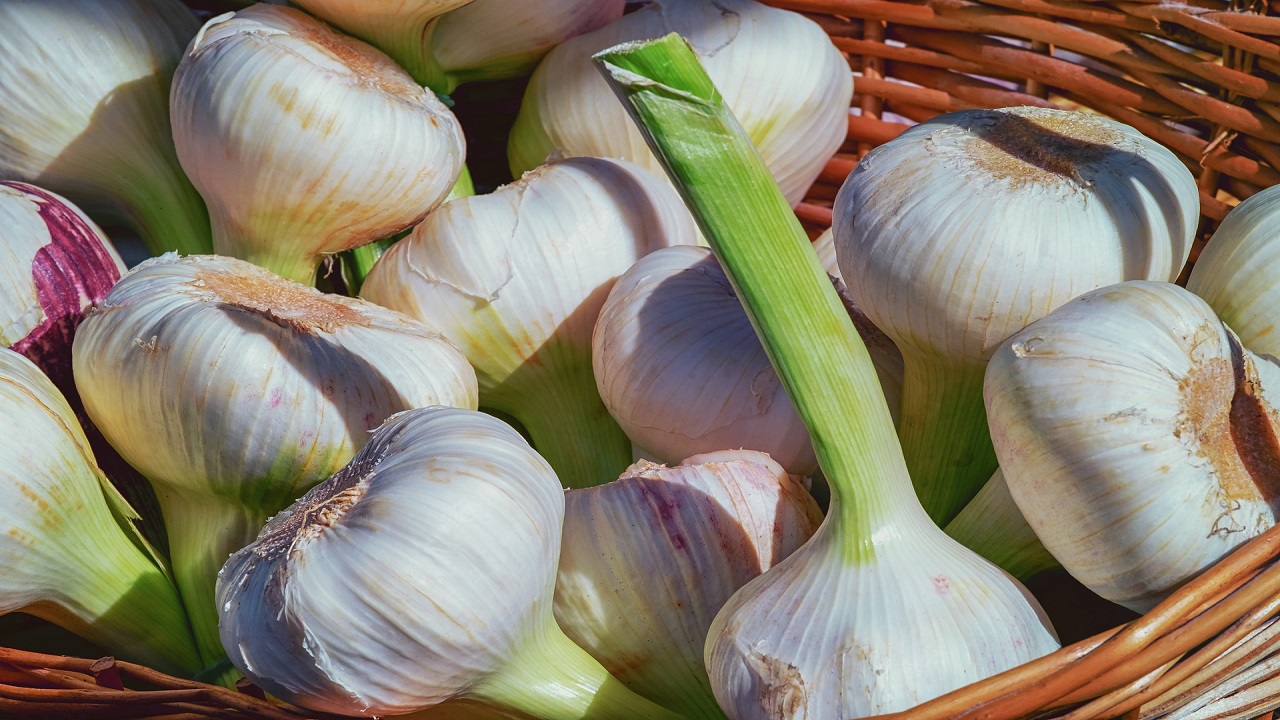 Rimedi nonna, aglio