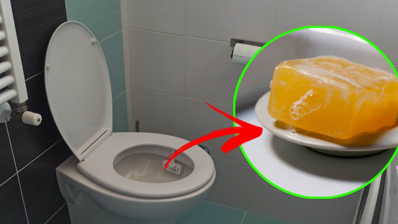 Sapone giallo: un rimedio efficace contro i cattivi odori del bagno 