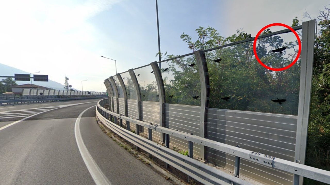 autostrada sagome uccelli neri