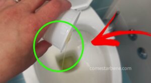 Pulire un WC troppo sporco: prova questa fantastica miscela magica