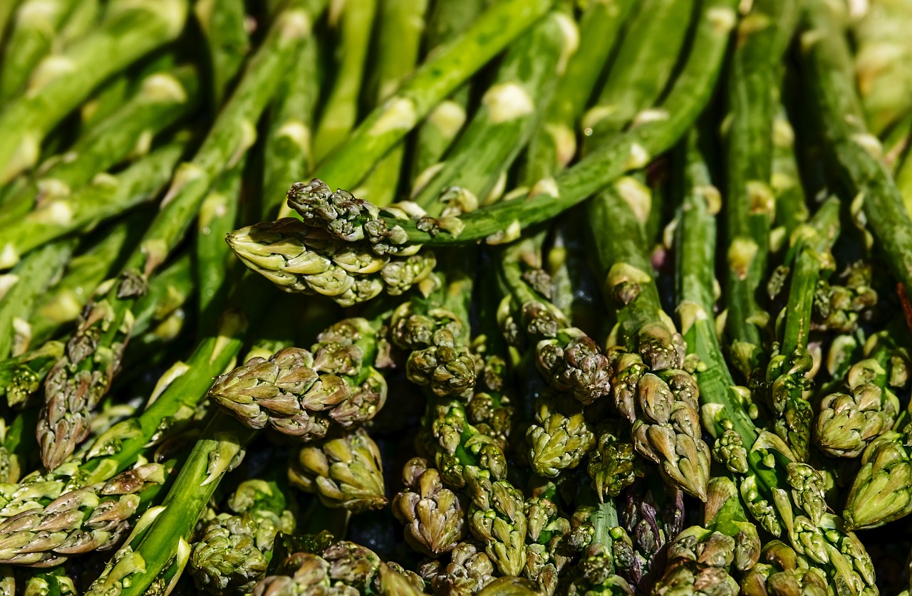 Asparagi comuni