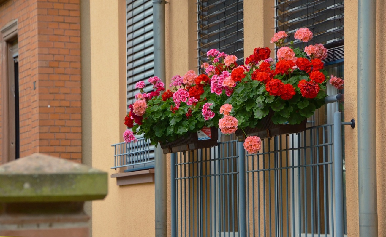 Balconi fioriti