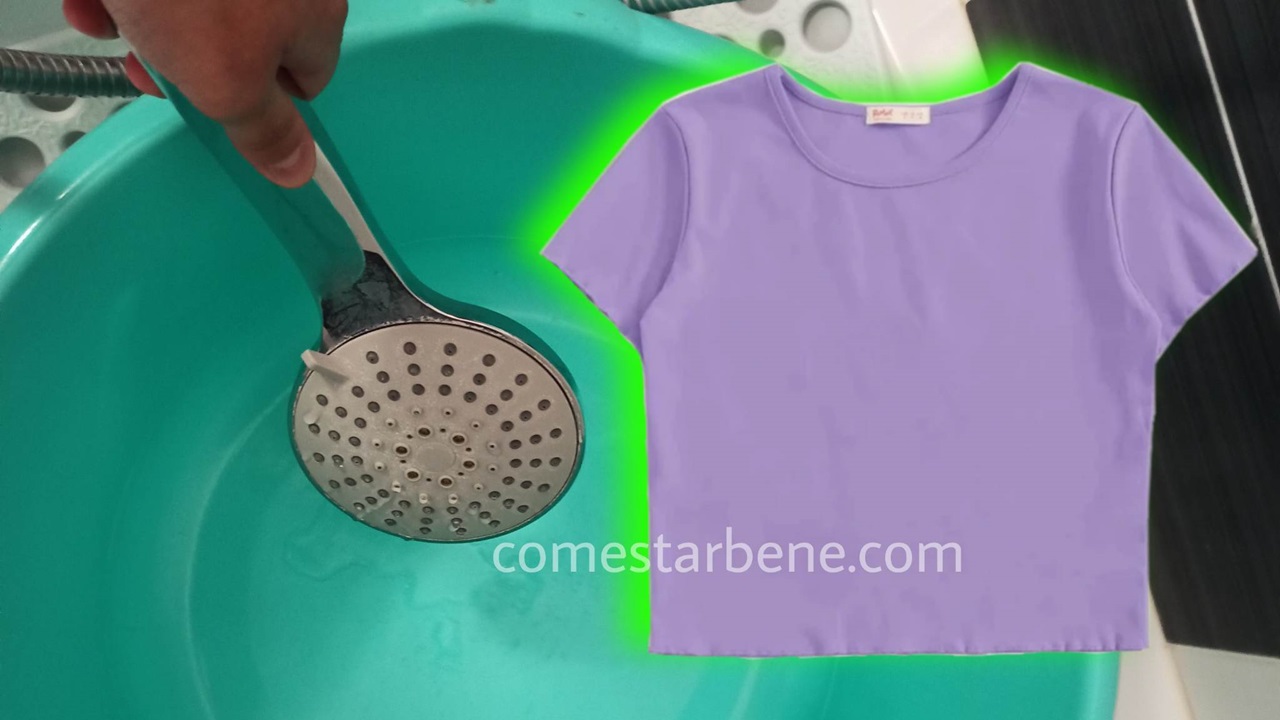 t-shirt scolorite