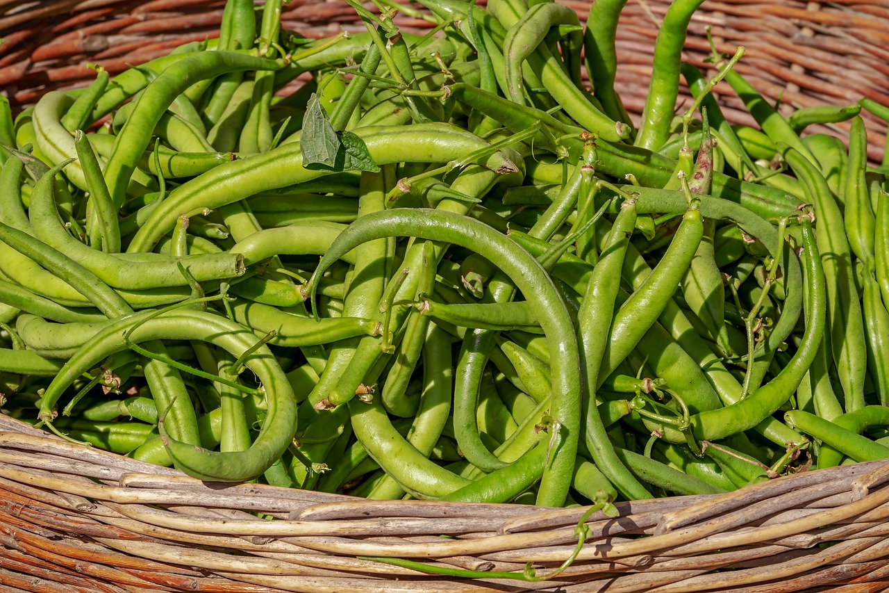 Fagioli in un cesto