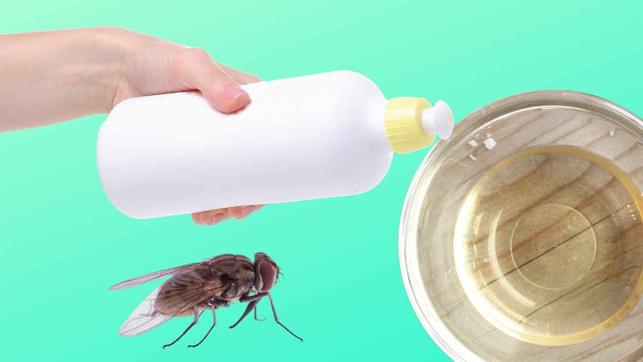 Repellente contro mosche e zanzare