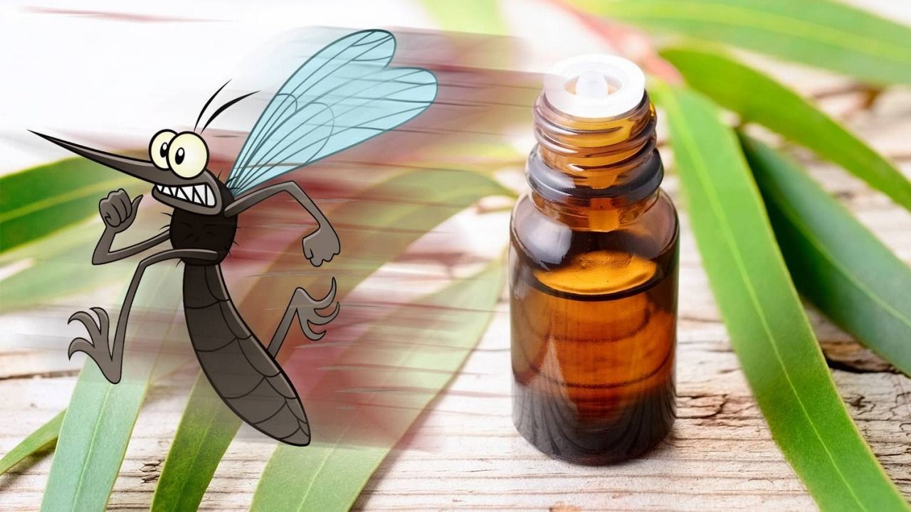 Zanzara scappa dall'olio essenziale