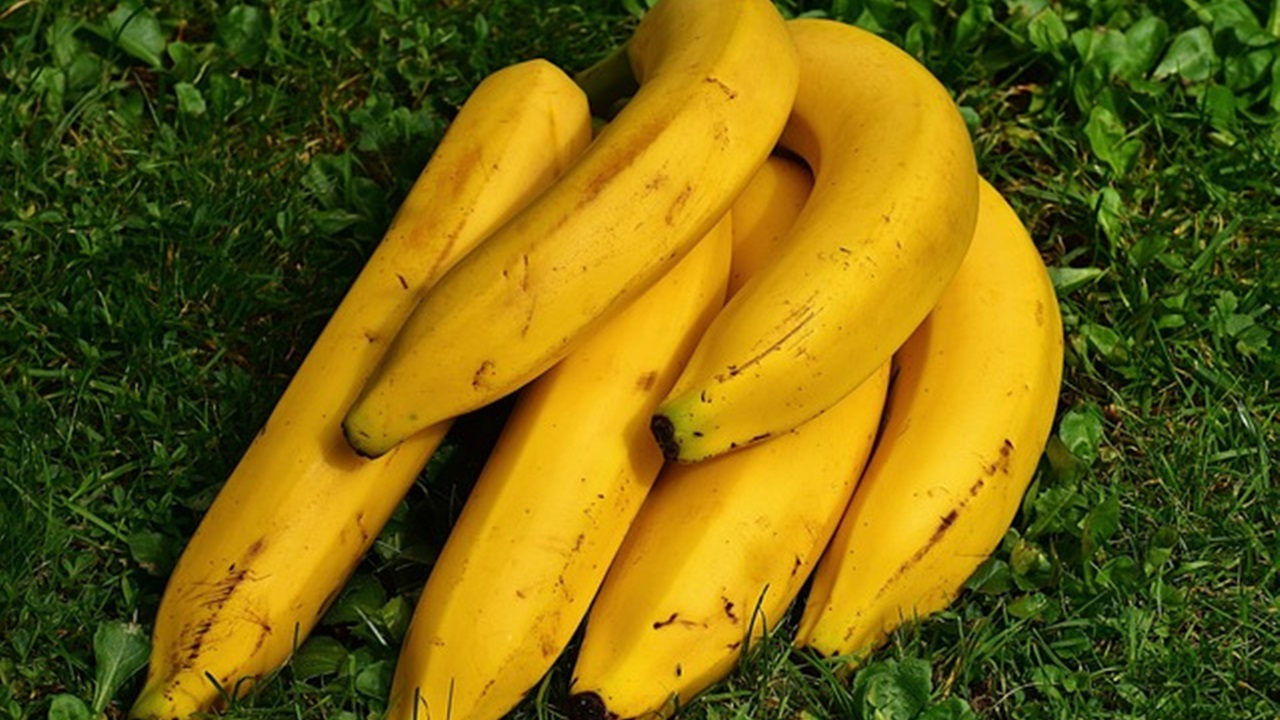 casco di banane