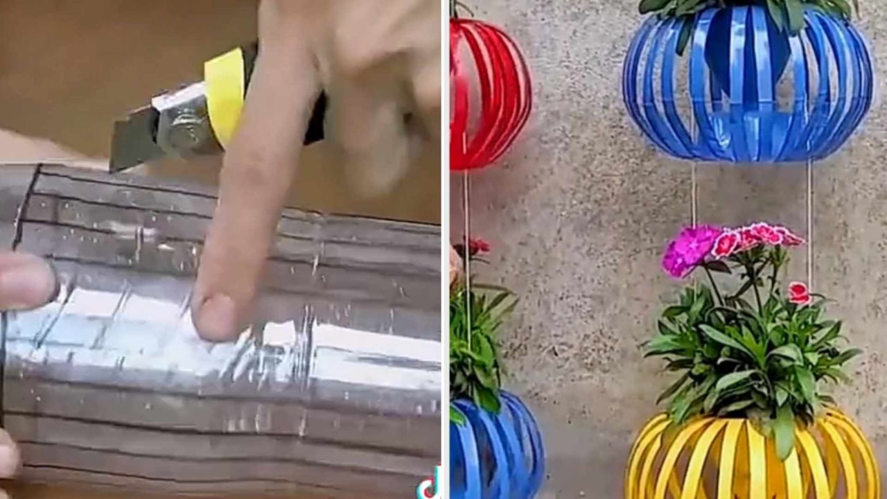 Bottiglie di plastica trasformate in vasi di fiori