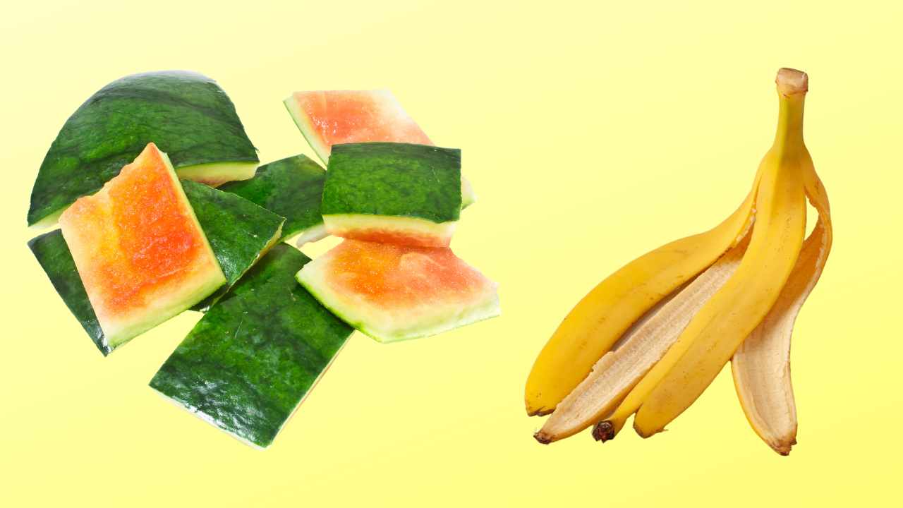 bucce di frutta