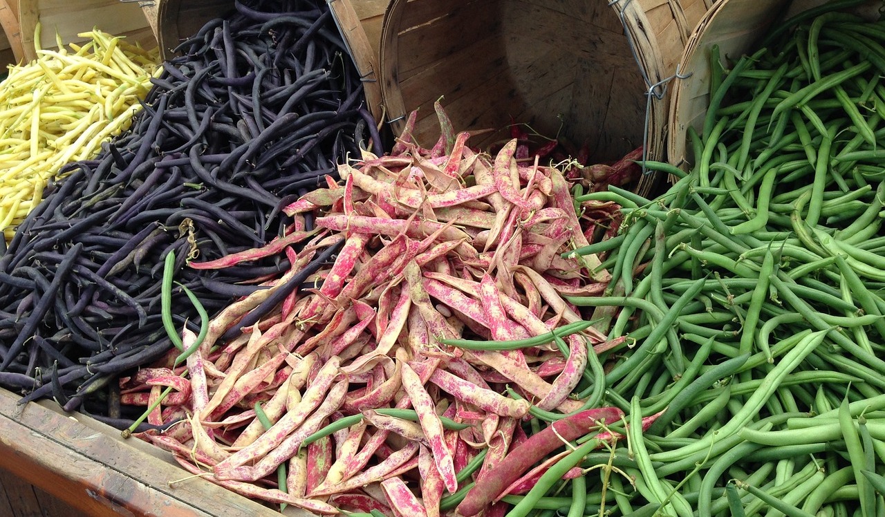 fagioli borlotti