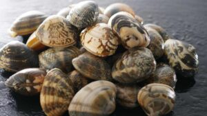 Il trucco per togliere la sabbia dalle vongole, ti serve un ingrediente