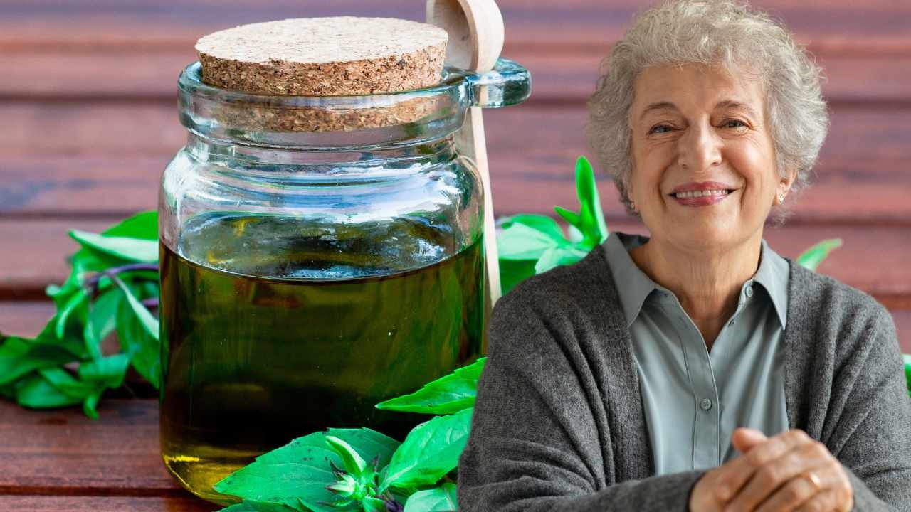 Olio al basilico come lo usava mia nonna: condimento e ottimo rimedio naturale  --- (Fonte immagine: https://www.comestarbene.com/wp-content/uploads/2023/09/Olio-di-basilico.jpg)