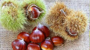 Come distinguere le castagne buone da quelle “matte”