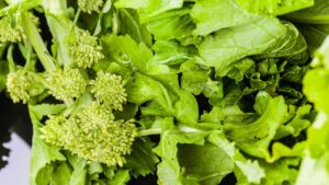 Cime di rapa: i segreti per una semina perfetta