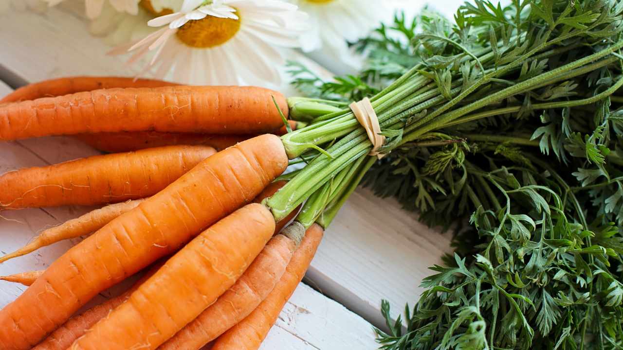 Primo piano carote