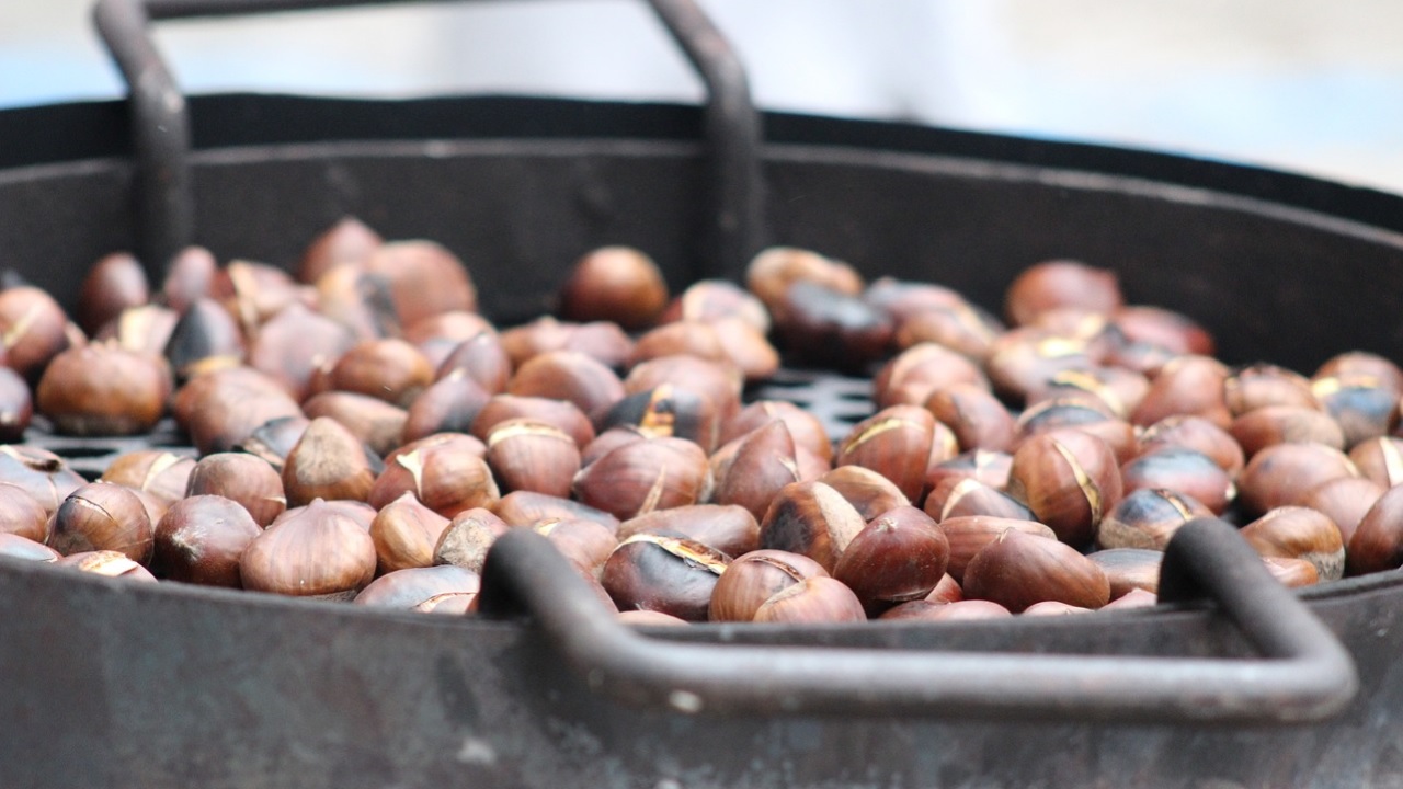 castagne